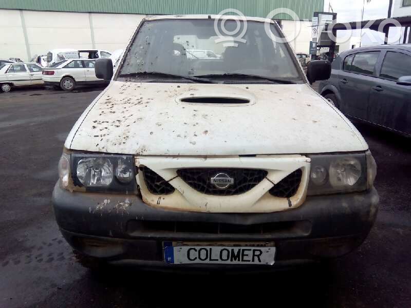 Terrano Terrano