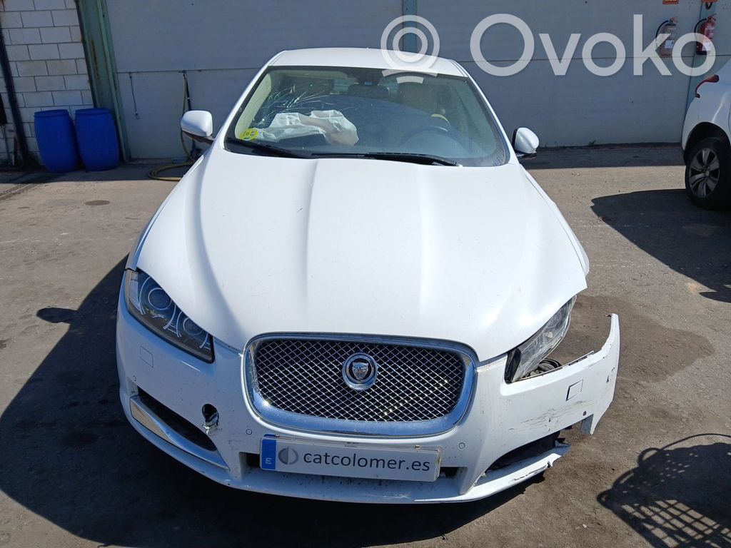 XF X250 XF  CX239600AA