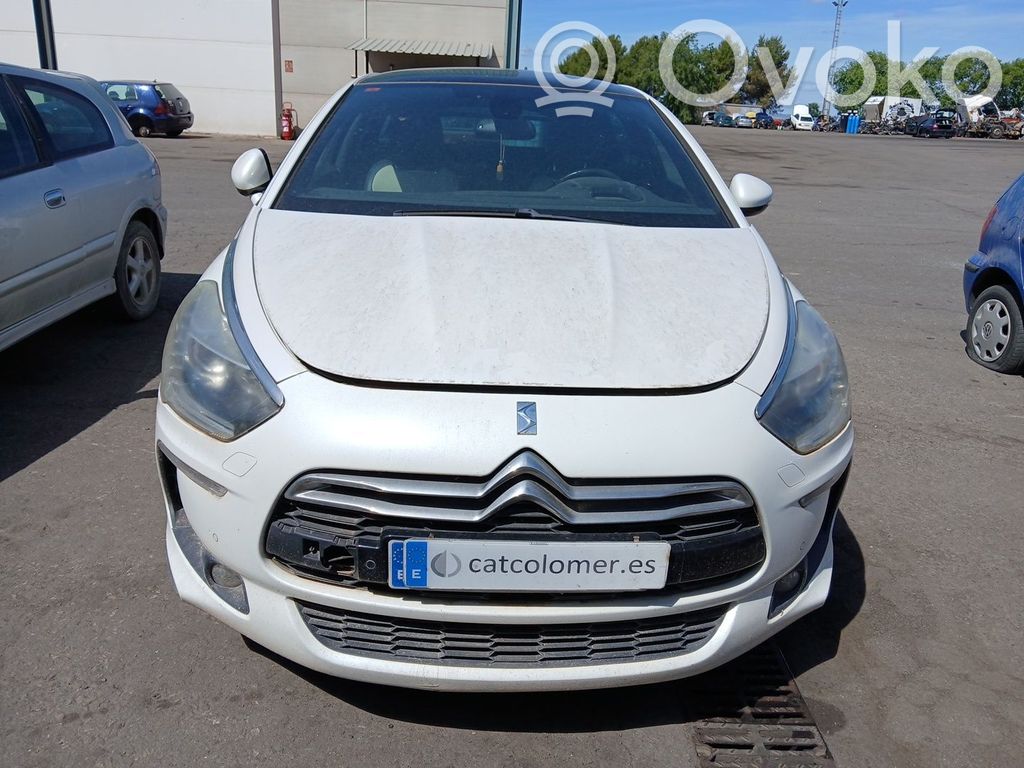 DS5 DS5  1606385780