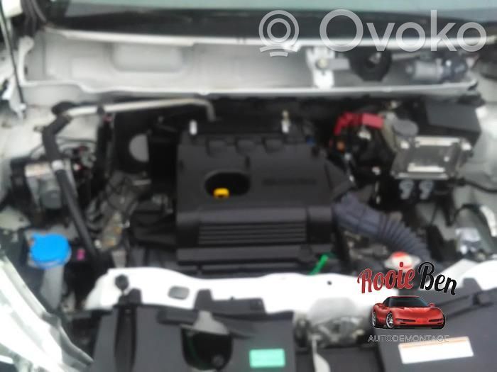 Celerio Celerio  3110084M00