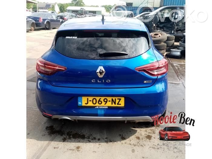Clio V Clio