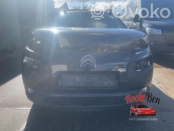 C4 Cactus C4 Picasso, Grand Picasso, Aircross, Cactus