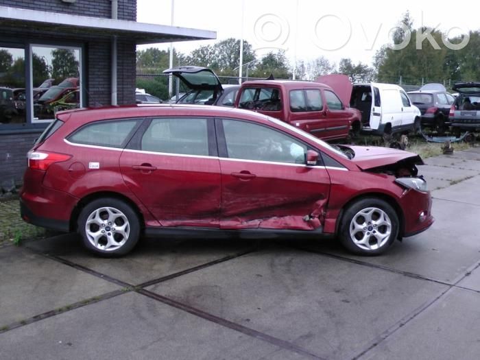 Focus Focus  2173541