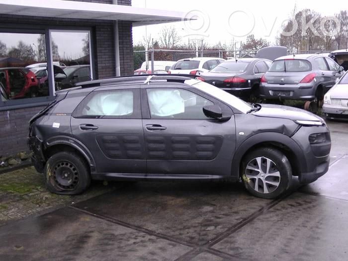 C4 Cactus C4 Picasso, Grand Picasso, Aircross, Cactus  9801070080