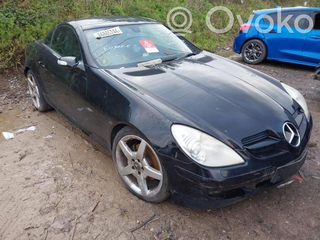 SLK R171 SLK-class, AMG (W170, W171, W172)  1715400124