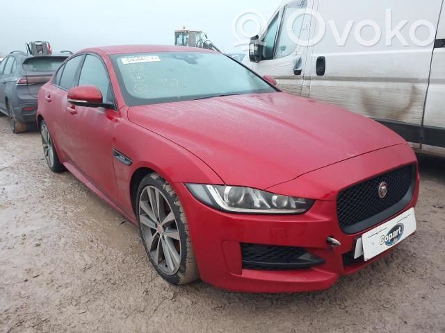 XE XE  43R001589