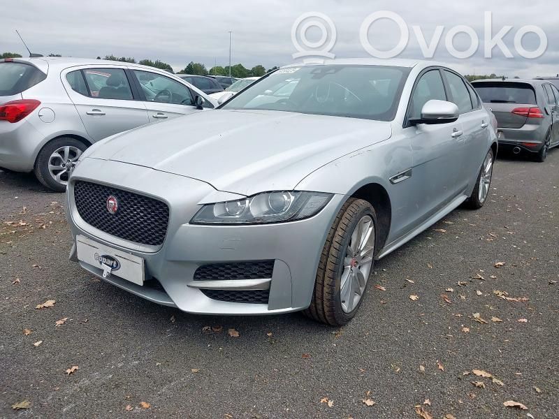 XF X260 XF  630794100D