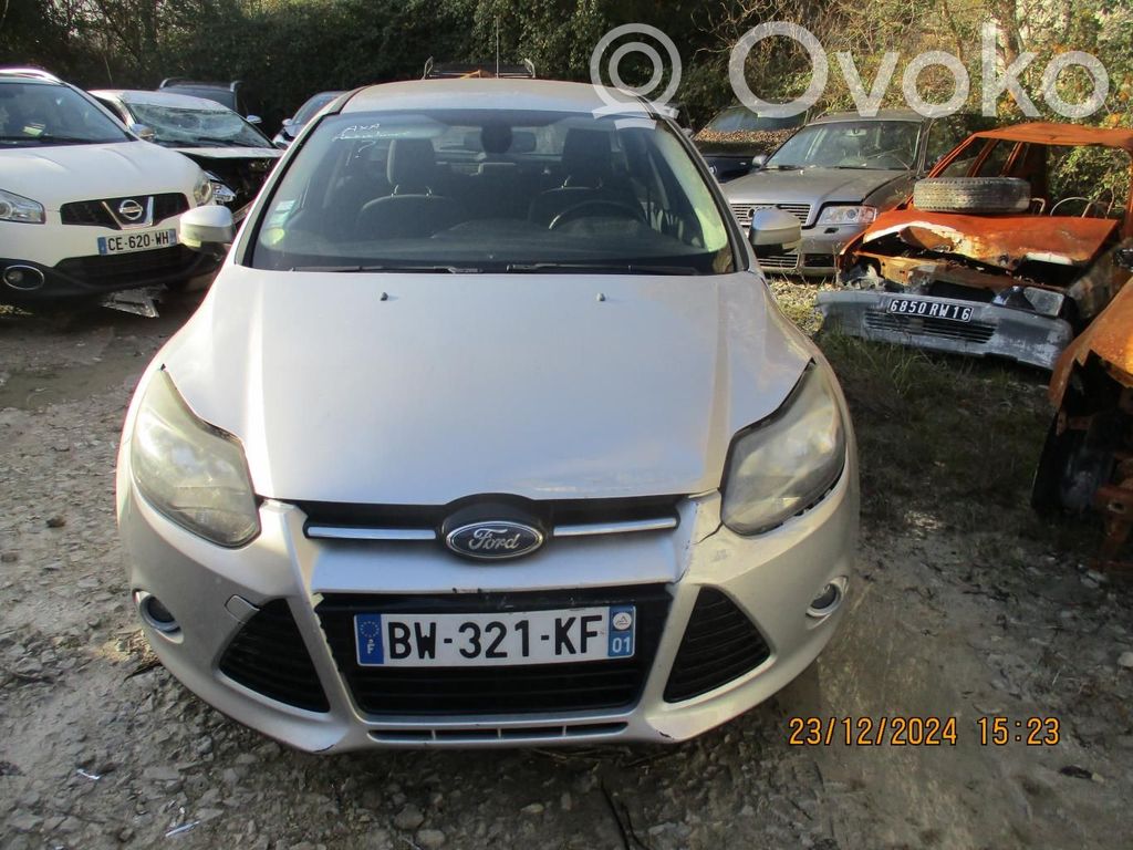 Focus Focus  1726205