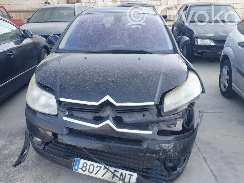 C4 I C4 Picasso, Grand Picasso, Aircross, Cactus  963123380