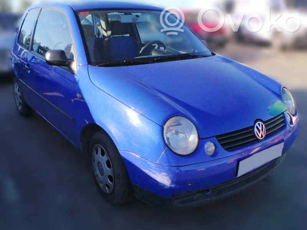 Lupo Lupo  1H0407272C