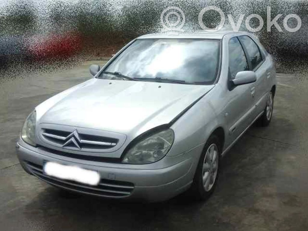 Xsara Xsara, Xsara Picasso