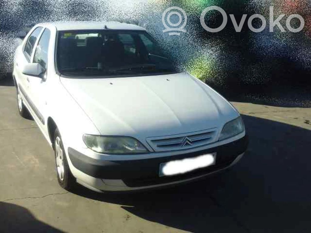 Xsara Xsara, Xsara Picasso