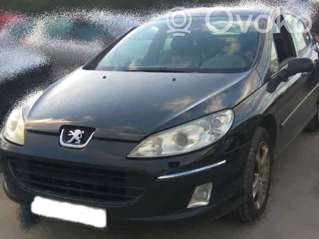 407 407  96464896KA