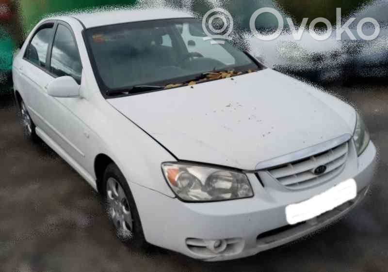 Cerato Cerato