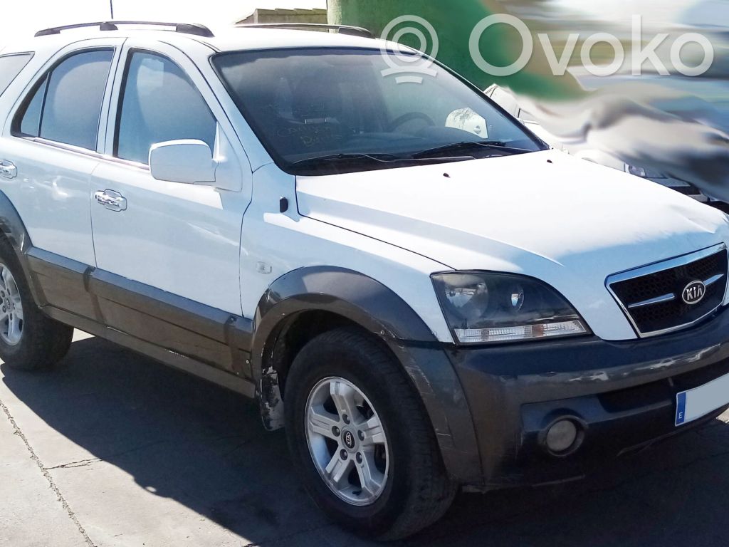 Sorento Sorento  491003E300