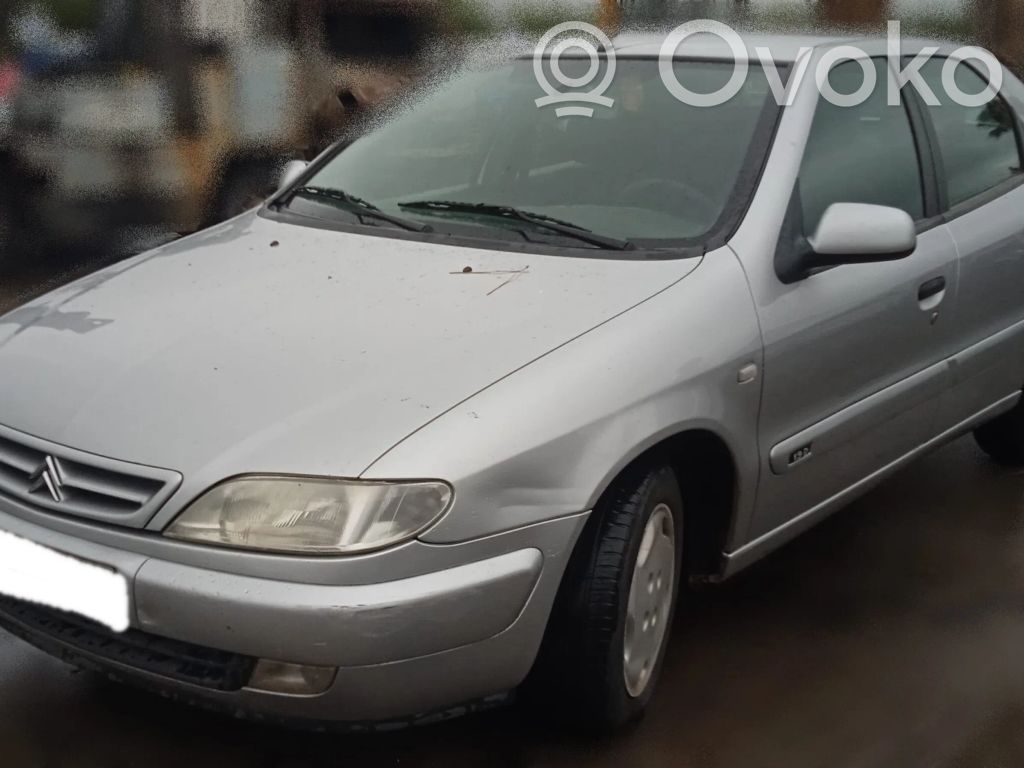 Xsara Xsara, Xsara Picasso