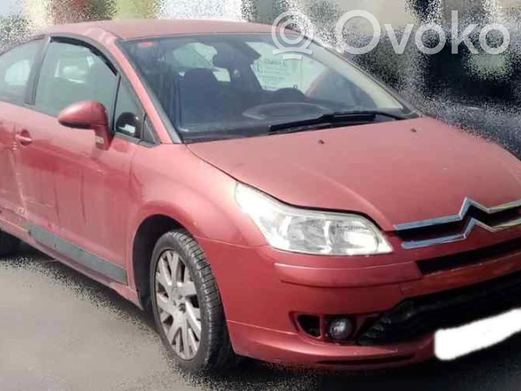 C4 I C4 Picasso, Grand Picasso, Aircross, Cactus  9647173880F