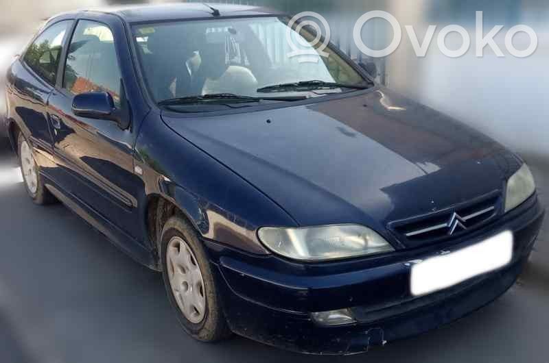 Xsara Xsara, Xsara Picasso