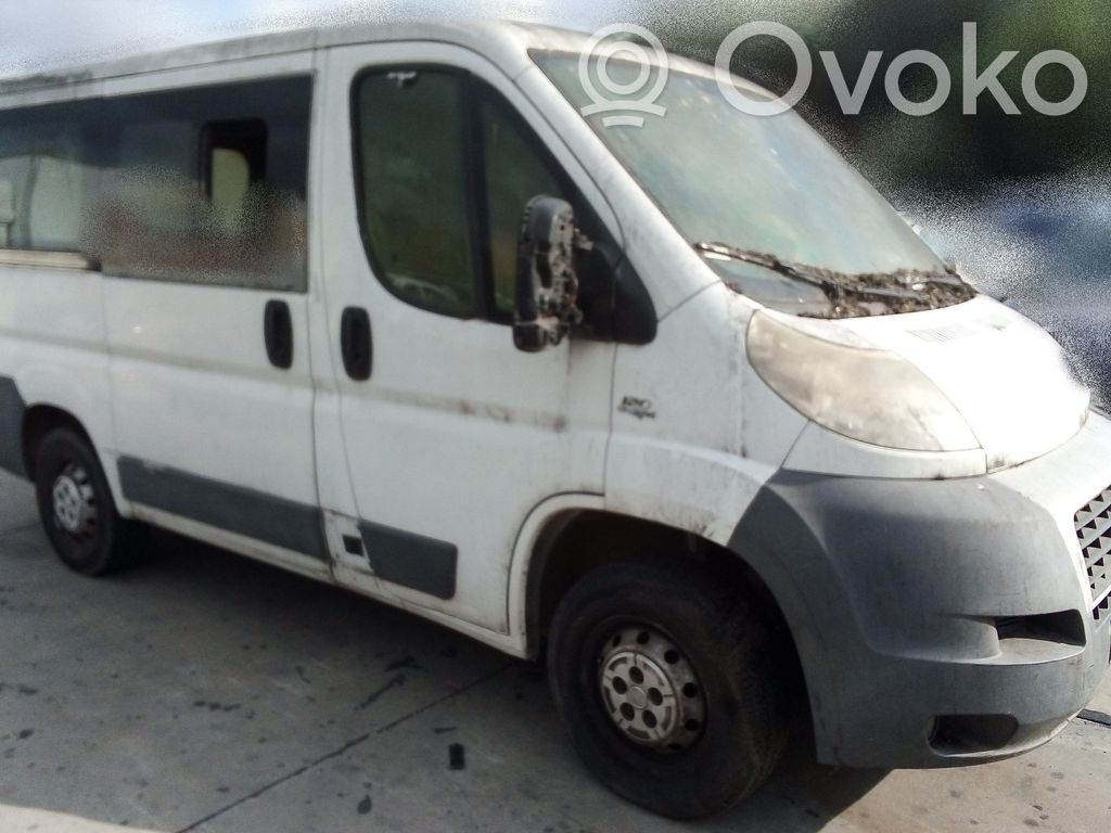 Ducato Ducato  Y24112