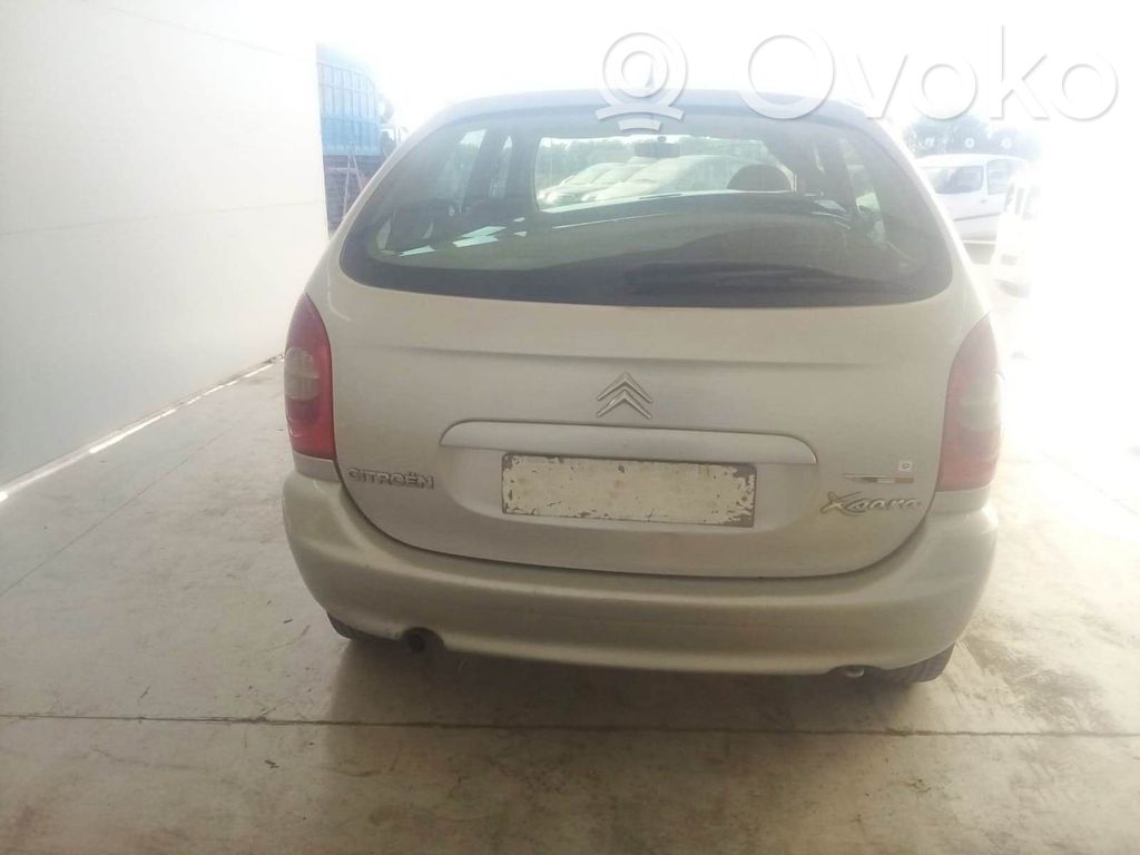 Xsara Xsara, Xsara Picasso