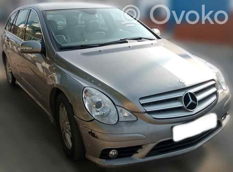R W251 R-class, AMG (W251)
