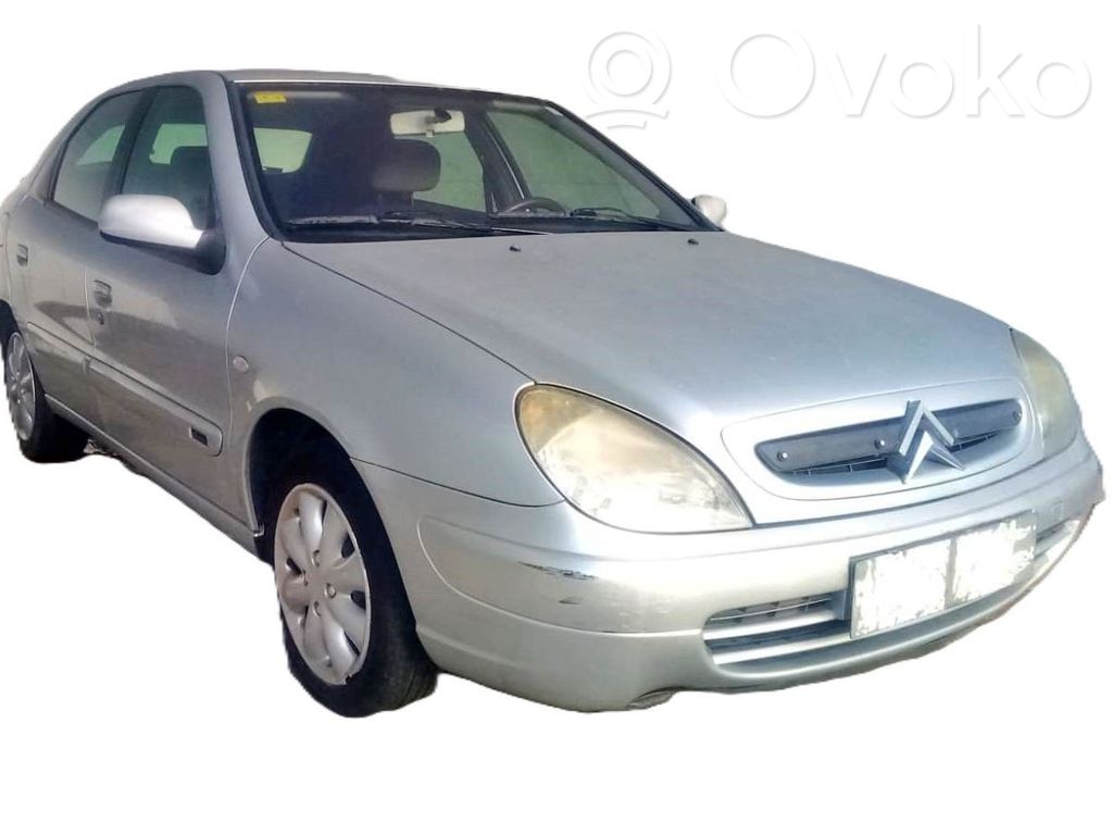 Xsara Xsara, Xsara Picasso