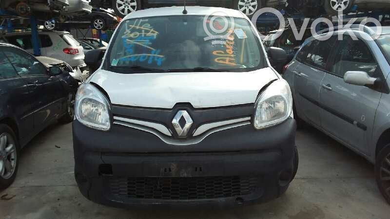 Kangoo II Kangoo  255405605R