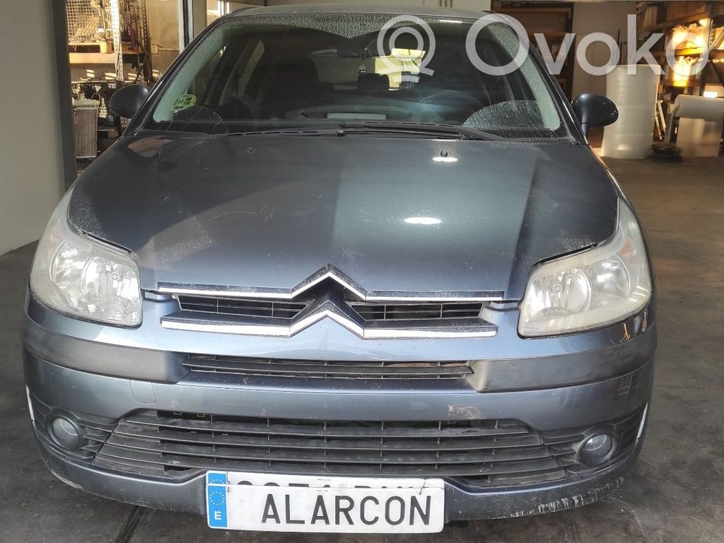 C4 I C4 Picasso, Grand Picasso, Aircross, Cactus  4541J1