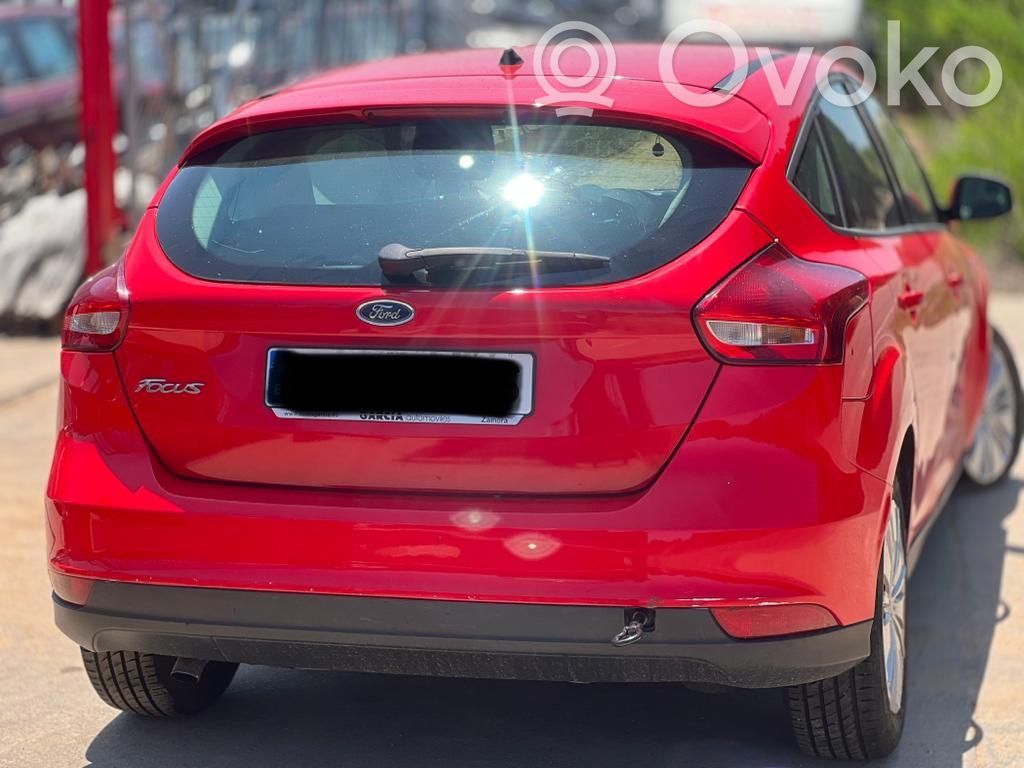 Focus Focus  1847166