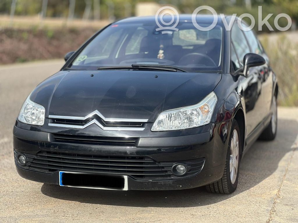 C4 Grand Picasso C4 Picasso, Grand Picasso, Aircross, Cactus  7410X1