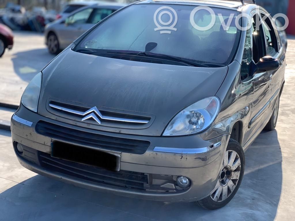 Xsara Xsara, Xsara Picasso