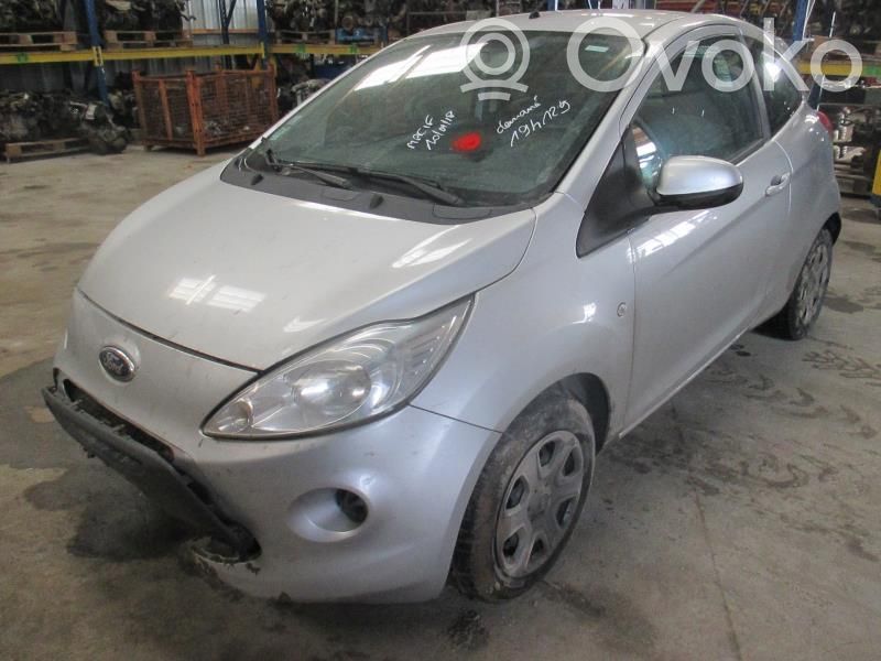 Ka Ka  1731137