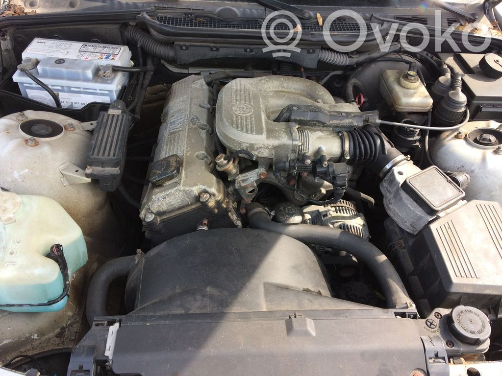 3 E36 Series 3  24001423661