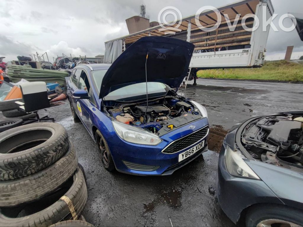 Focus Focus  BM51A16C199AC