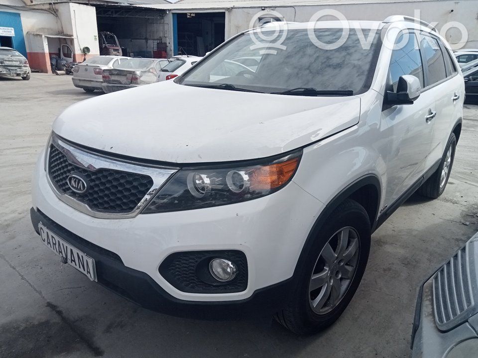 Sorento Sorento  817702P000
