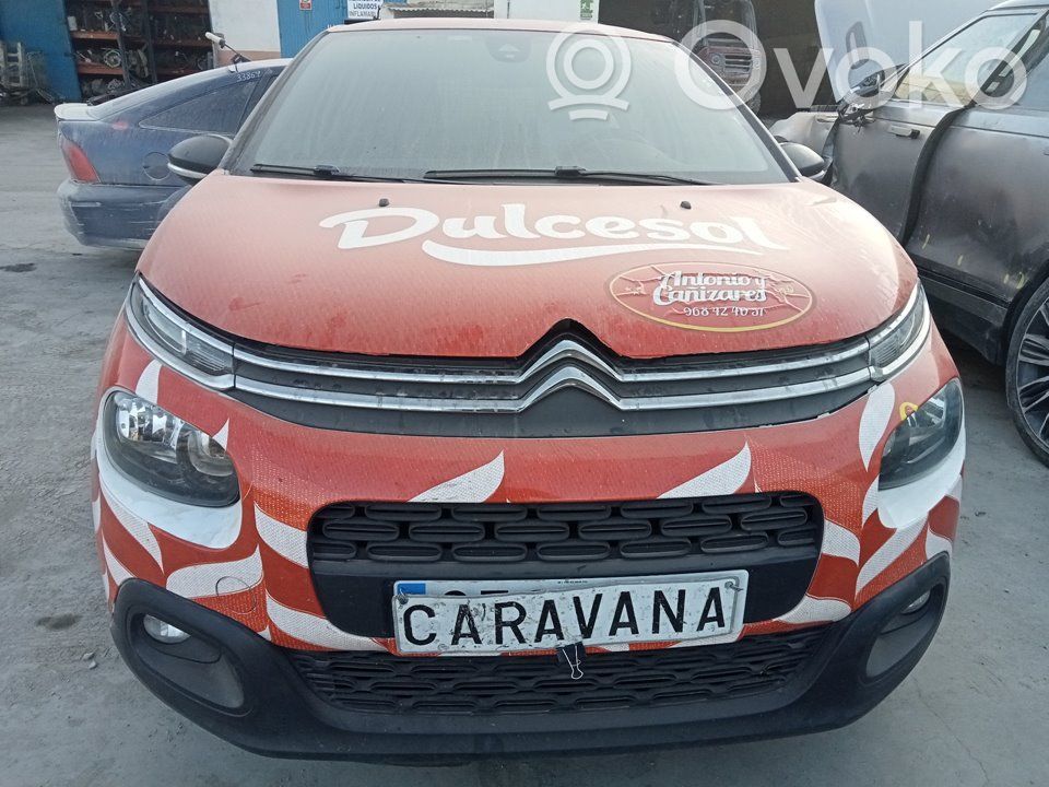 C3 C3, Pluriel, Picasso  9663123380