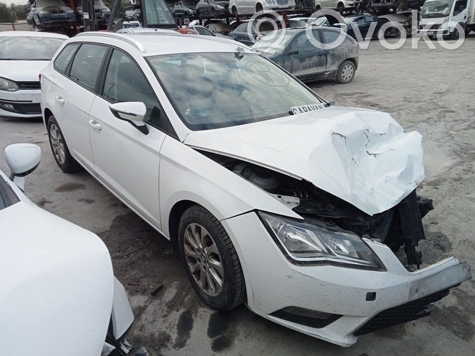 Leon (5F) Leon  5F9945095