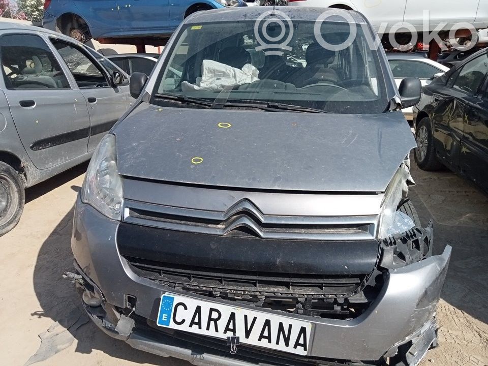 Berlingo Berlingo  9006L9