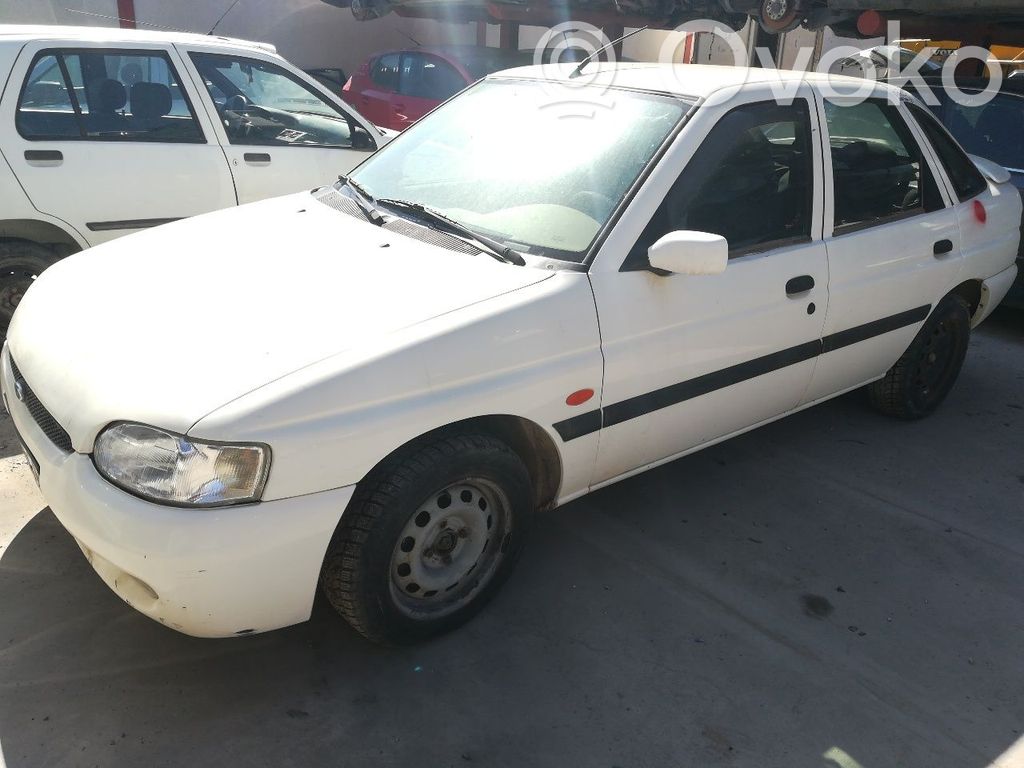 Escort Escort  91FF6K682AD