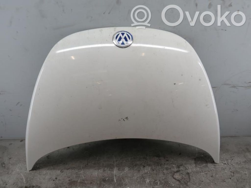 New Beetle Beetle  1C0823031L