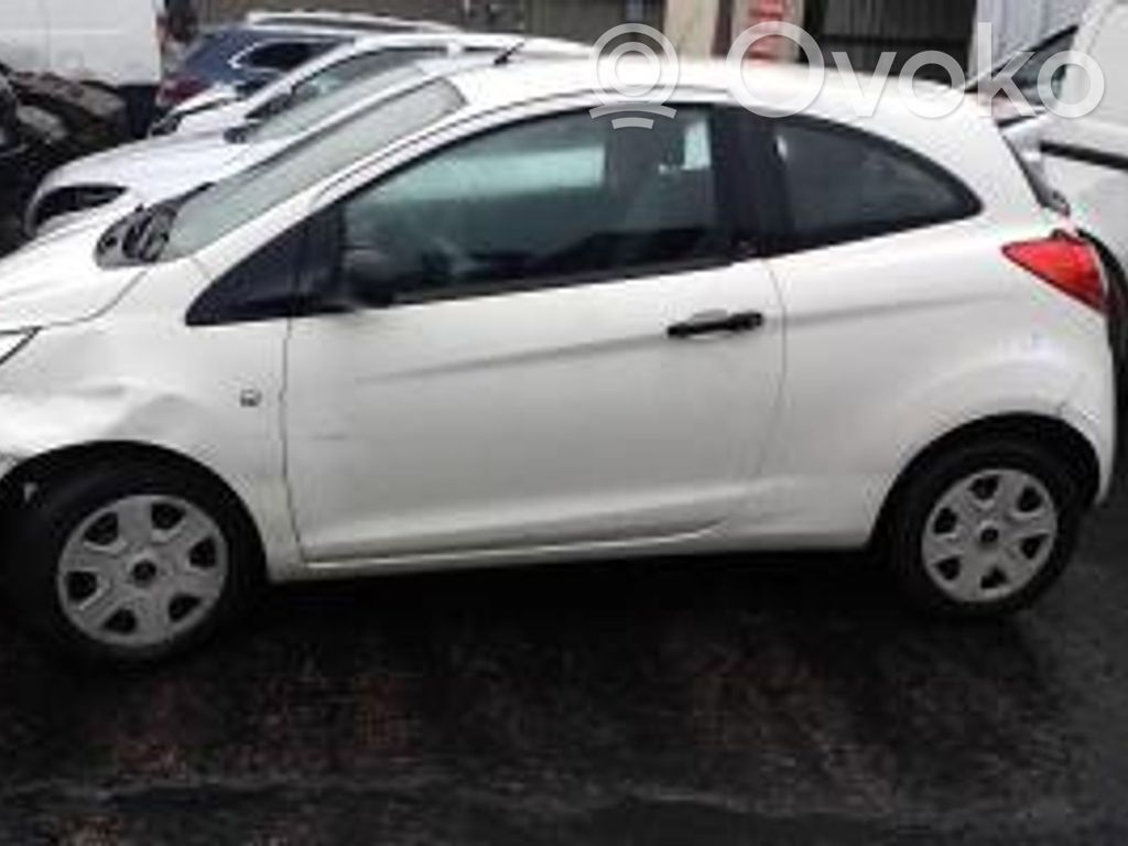 Ka Ka  51873926