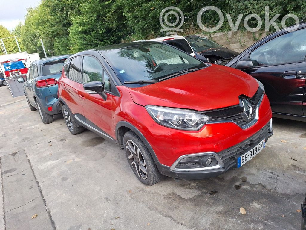 Captur Captur  5919