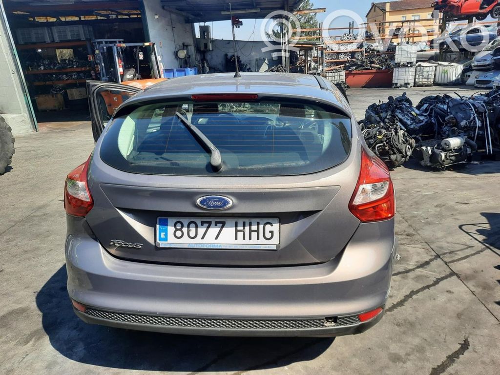 Focus Focus  1838957