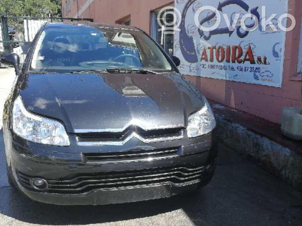 C4 I C4 Picasso, Grand Picasso, Aircross, Cactus  A5094111H