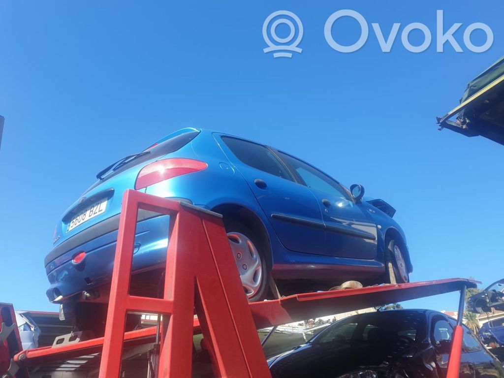206+ 206, 206+  9648836480