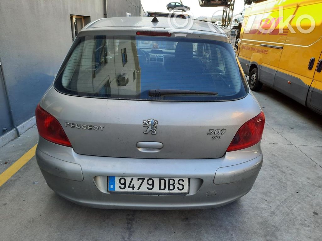 307 307  9654150980