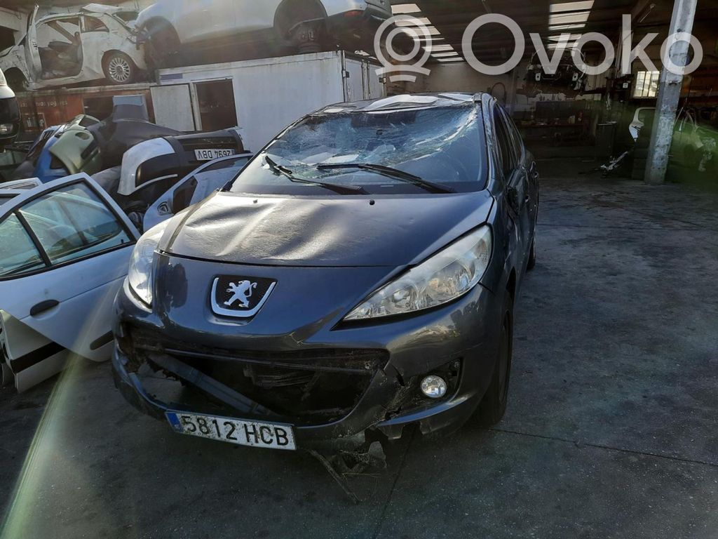 207 207  96661300XT