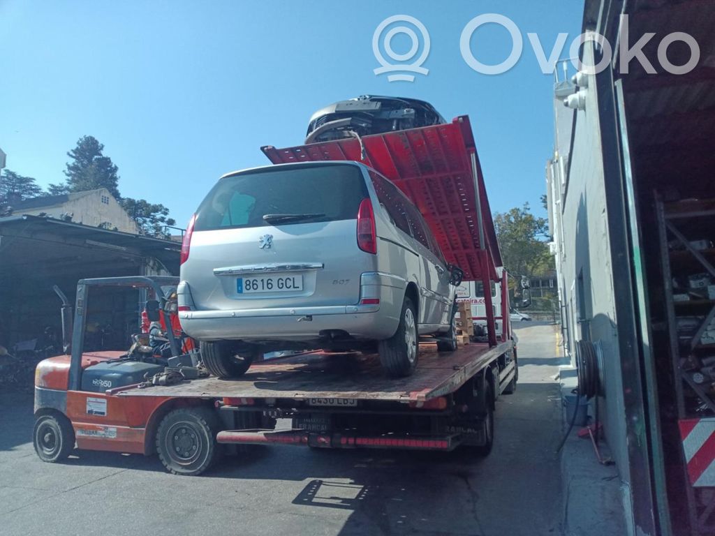 207 207  SW9665100380