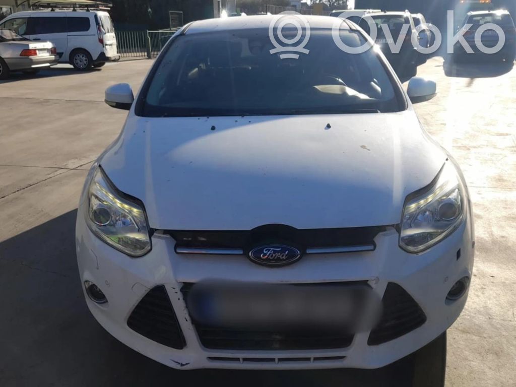 Focus Focus  1867852