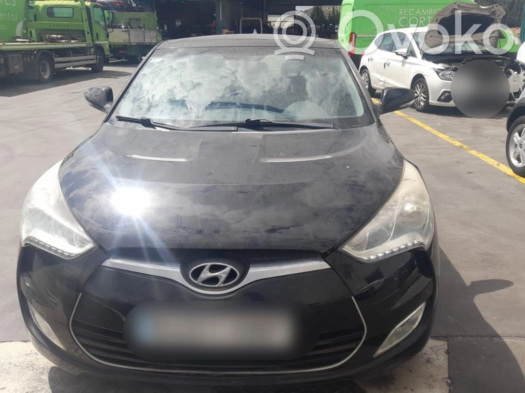 Veloster Veloster  770042V020